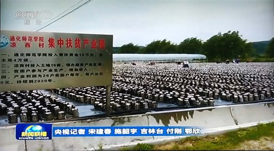 aecbc5084d450955de524ad304d61502_bbc7319b24a4bffc