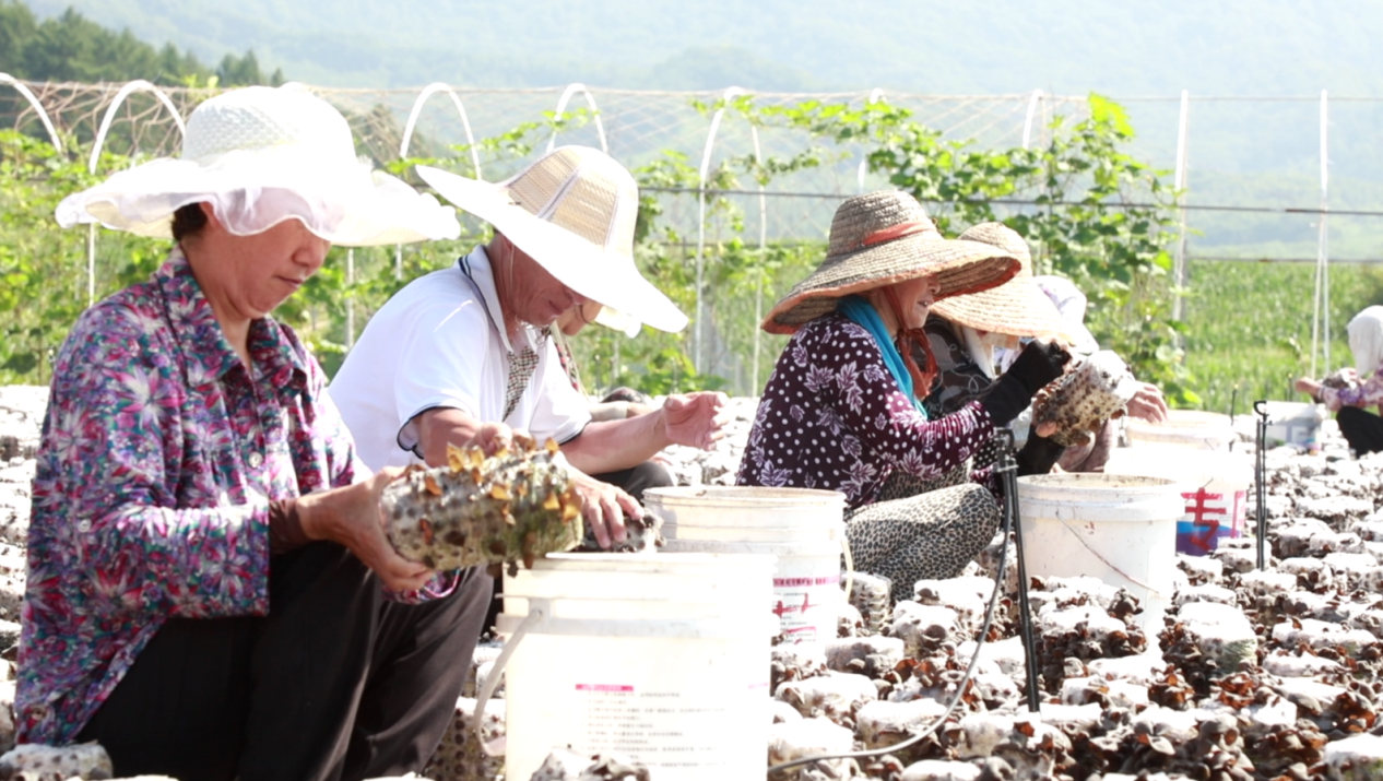 HF~P{B}[5RU1{DC3A9I6~{1