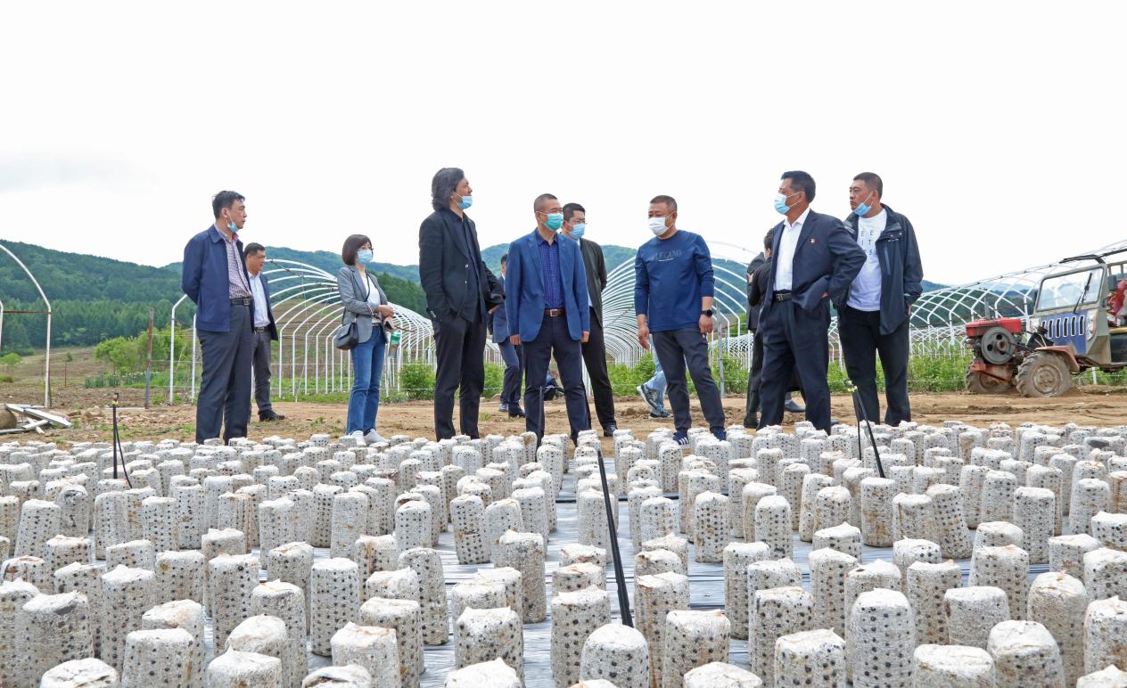 C:/Users/Administrator/AppData/Local/Temp/picturecompress_20210513092550/output_1.jpgoutput_1