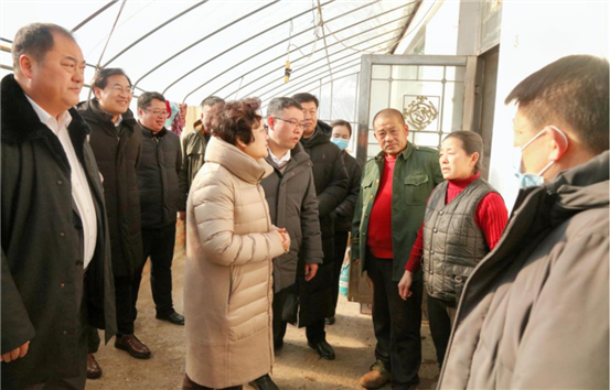 c03072d465dc50bd5f68cdefd516a7ac