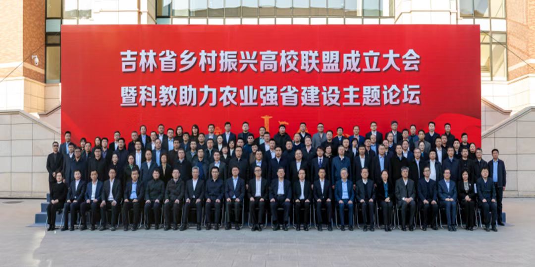 628a0ffa02d1ea9b3451cdbd9bc1b3f